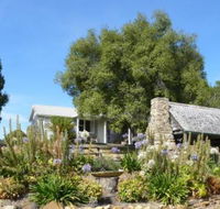 Sassafras Springs - Northern Rivers Accommodation