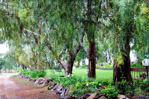 Outback Cellar & Country Cottage - Northern Rivers Accommodation 2