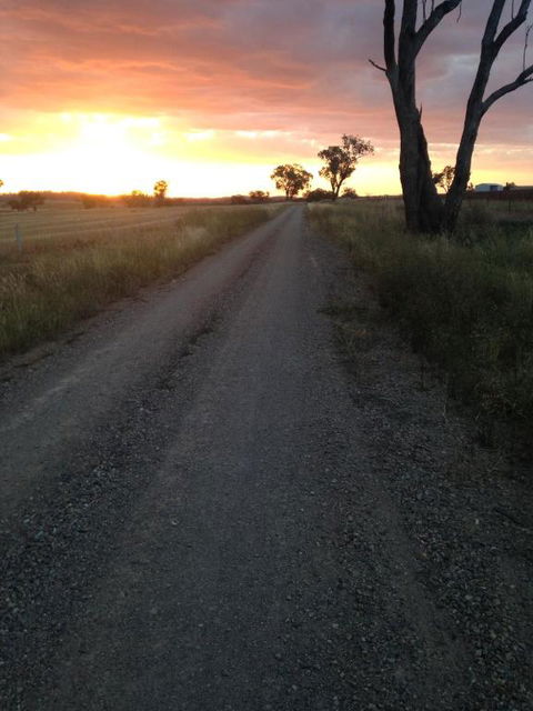 Outback Cellar & Country Cottage - Northern Rivers Accommodation 5