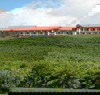 Turners Vineyard Motel and Function Centre - Northern Rivers Accommodation
