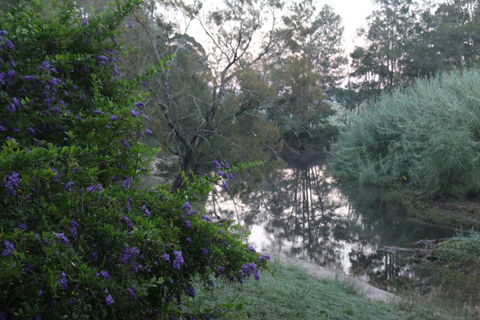 Serendipity On Allyn - Northern Rivers Accommodation 7