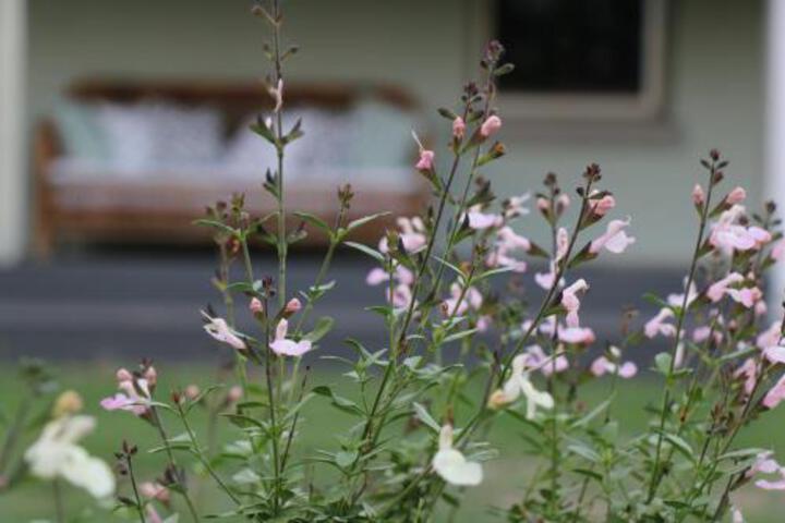 Allynbrook ACT Northern Rivers Accommodation