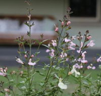 Serendipity on Allyn - Northern Rivers Accommodation