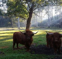 Dingley Dell - Northern Rivers Accommodation