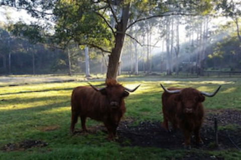 Dingley Dell - Northern Rivers Accommodation 0