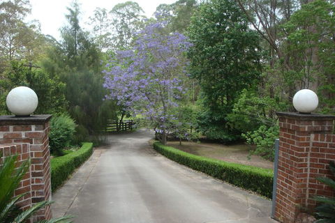 Dingley Dell - Northern Rivers Accommodation 1