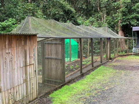 Figtree Getaway - Northern Rivers Accommodation 6