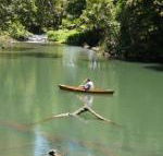 Figtree Getaway - Northern Rivers Accommodation