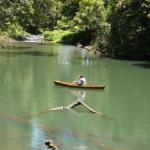 Figtree Getaway - Northern Rivers Accommodation 0