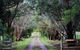 Galwiji Homestead - thumb 7