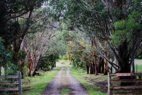 Galwiji Homestead - Northern Rivers Accommodation 7