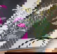 Birdie - Northern Rivers Accommodation