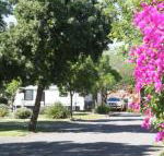 BIG 4 Hay - Northern Rivers Accommodation