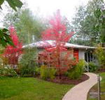 Dalrymples Guest Cottages - Northern Rivers Accommodation