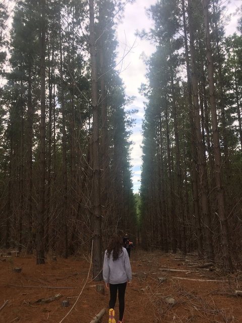 Morella Farm Stay - Northern Rivers Accommodation 6