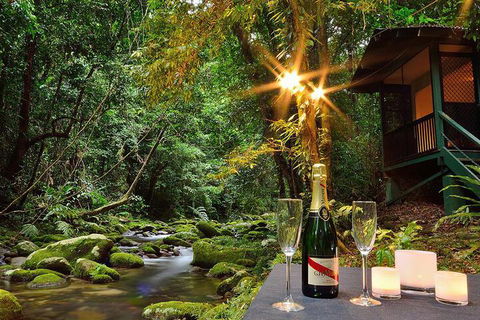 Misty Mountains Rainforest Retreat - Northern Rivers Accommodation 3