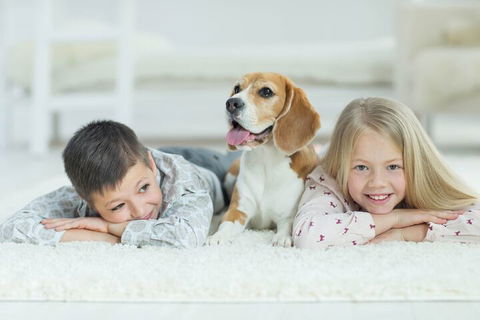 BOUTIQUE STAYS - Brighton Rose - Northern Rivers Accommodation 2