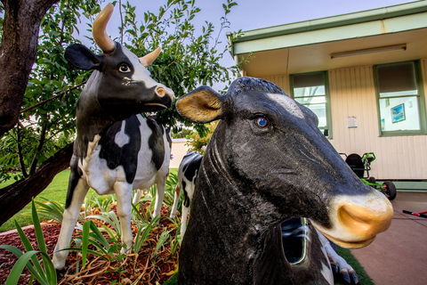 Big4 Shepparton Park Lane - Northern Rivers Accommodation 0