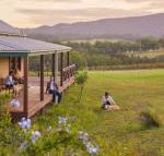 Hanging Tree Wines - Northern Rivers Accommodation