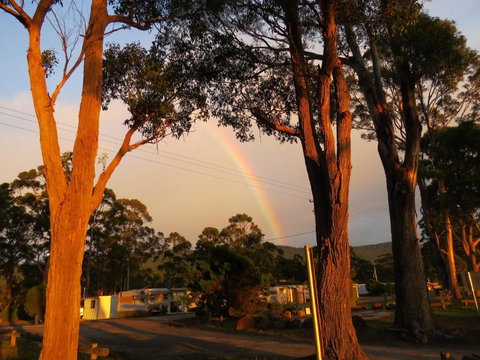 Captain Cook Holiday Park - Northern Rivers Accommodation 5