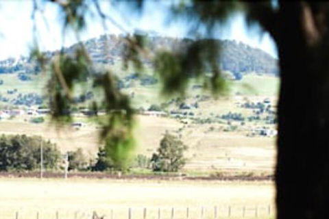Killarney View Cabins & Caravan Park - Northern Rivers Accommodation 1