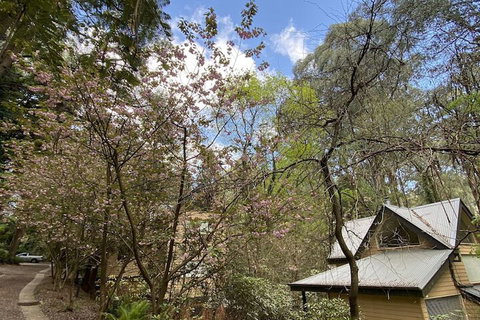 Lochiel Luxury Accommodation - Northern Rivers Accommodation 4