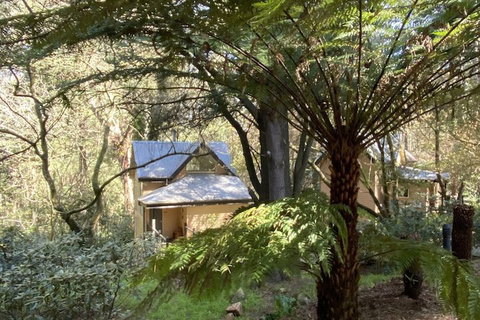 Lochiel Luxury Accommodation - Northern Rivers Accommodation 2