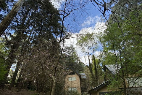 Lochiel Luxury Accommodation - Northern Rivers Accommodation 3