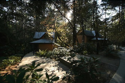 Lochiel Luxury Accommodation - Northern Rivers Accommodation 7