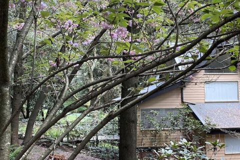 Lochiel Luxury Accommodation - Northern Rivers Accommodation 5