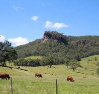 Rosevale House - Northern Rivers Accommodation