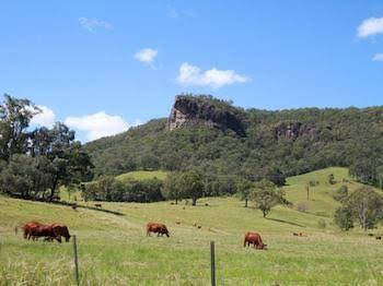 Rosevale House - Northern Rivers Accommodation 0