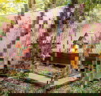 The Mouses House Rainforest Retreat - Northern Rivers Accommodation