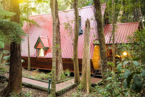 The Mouses House Rainforest Retreat - Northern Rivers Accommodation 0