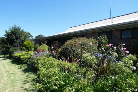 Boomers Guest House Hamilton - Northern Rivers Accommodation 1