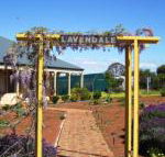 Lavendale Farmstay  Cottages York - Northern Rivers Accommodation