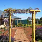 Lavendale Farmstay & Cottages York - Northern Rivers Accommodation 0