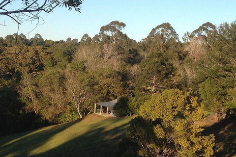 Jacaranda Cottages - Northern Rivers Accommodation 3