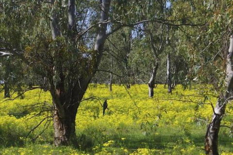 Broken Gum Country Retreat - Northern Rivers Accommodation 3