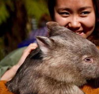 Fauna Australia Wildlife Retreat - Northern Rivers Accommodation