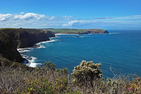 Woodland By The Bay & Puddleduck Cottage - Northern Rivers Accommodation 5