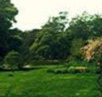 Birdwing Bed  Breakfast Weegena - Northern Rivers Accommodation