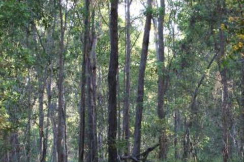 Bungadoo Country Cottage - Northern Rivers Accommodation 7