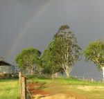 CBR Equine Cottage - Northern Rivers Accommodation
