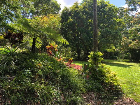 Honeybee House - Northern Rivers Accommodation 5