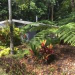 Kuranda QLD Northern Rivers Accommodation