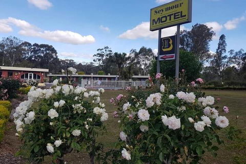 Seymour Motel - Northern Rivers Accommodation 6