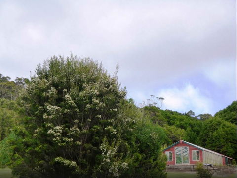 Rocky Glen Retreat King Island - Northern Rivers Accommodation 6