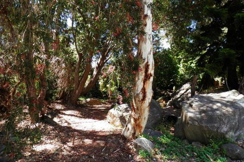 The Hideaway Luxury B & B Retreat - Northern Rivers Accommodation 6