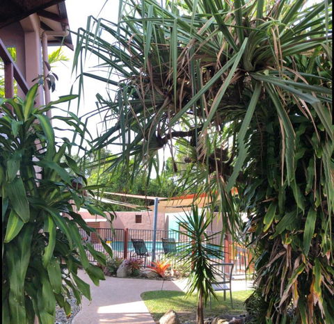Pandanus Holiday Apartments - Northern Rivers Accommodation 4